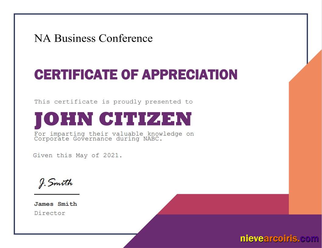 USA Appreciation certificate
